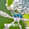 言葉の宝石