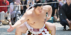 大相撲